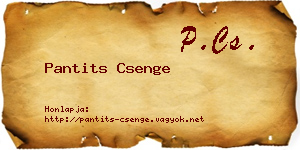 Pantits Csenge névjegykártya